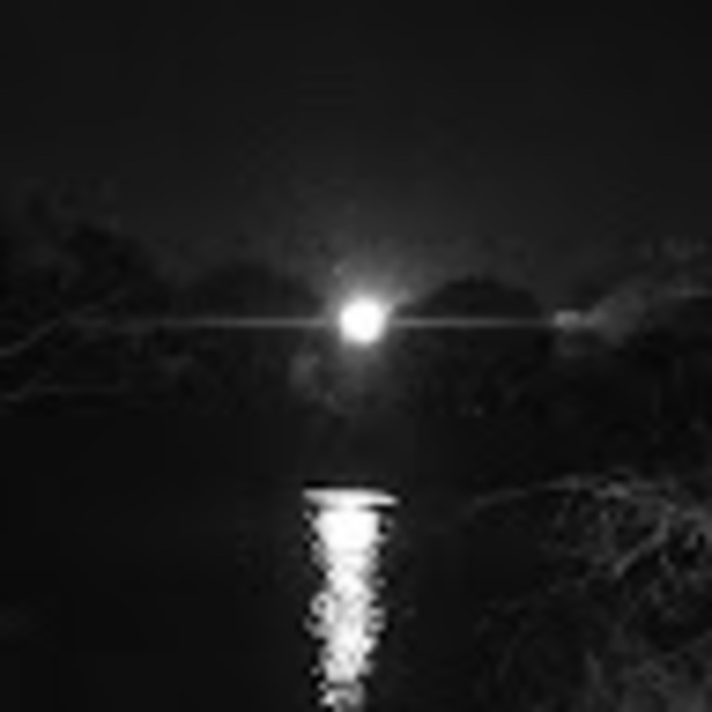 Meet your Posher, Lyla